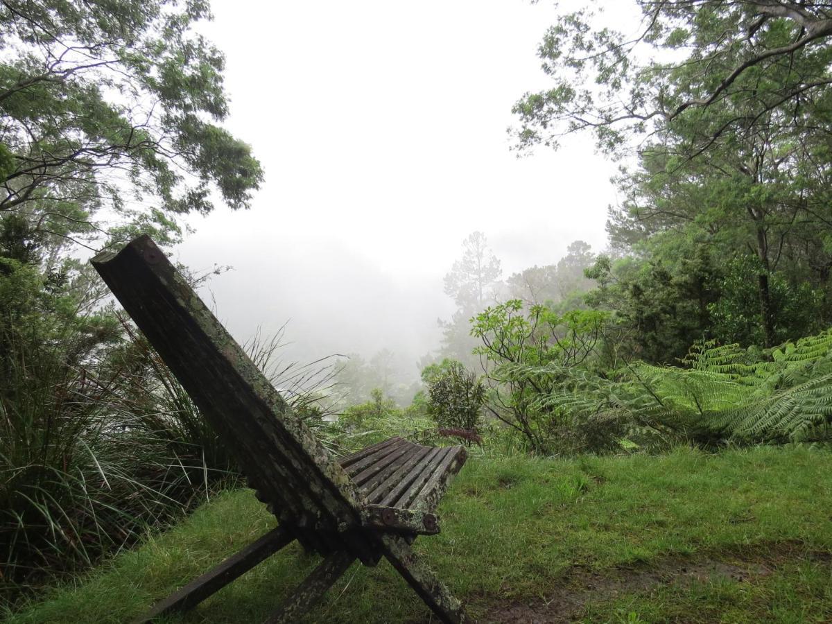 Crown Ridge Miners Cottage Karangahake Zewnętrze zdjęcie