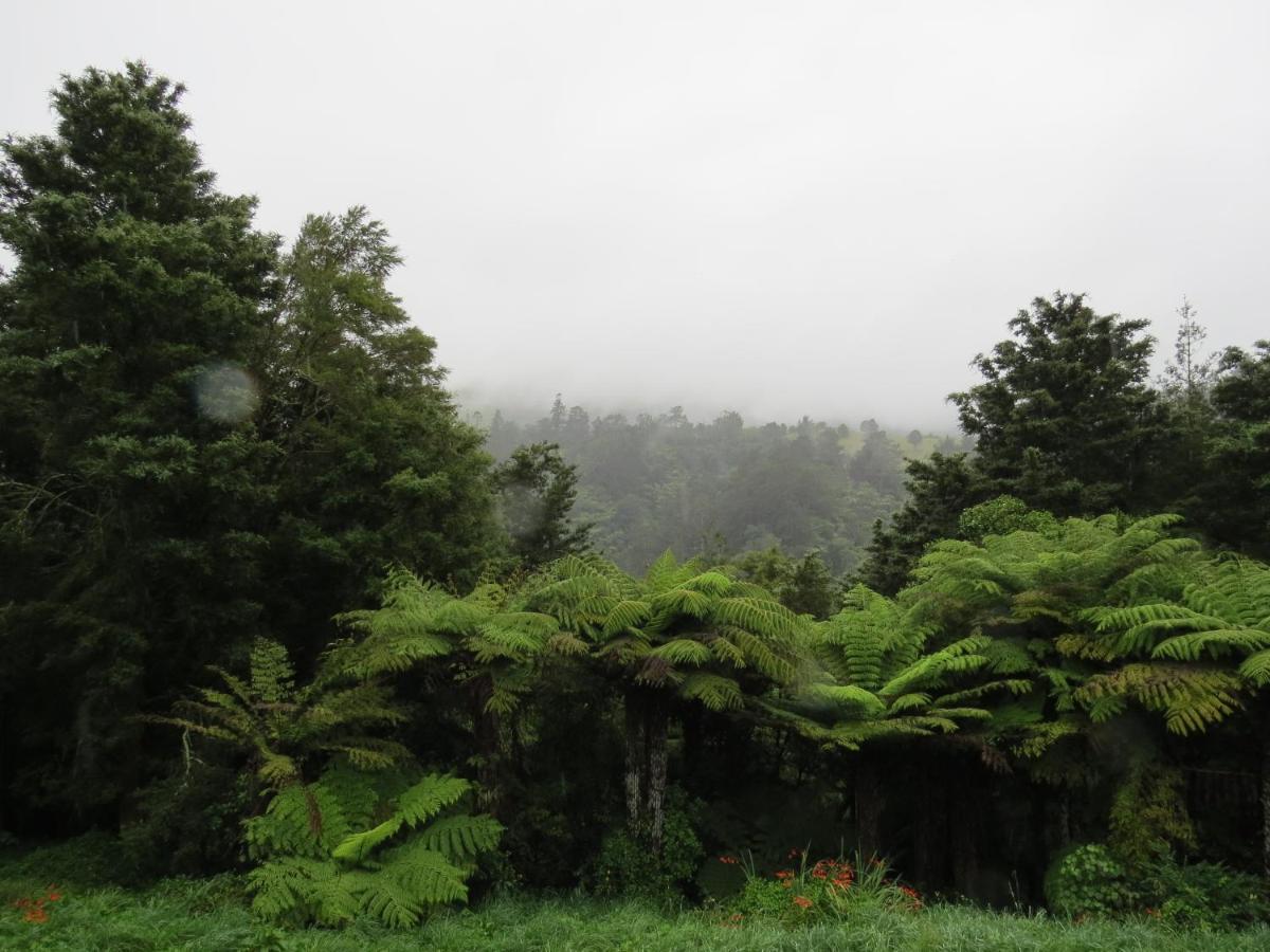 Crown Ridge Miners Cottage Karangahake Zewnętrze zdjęcie
